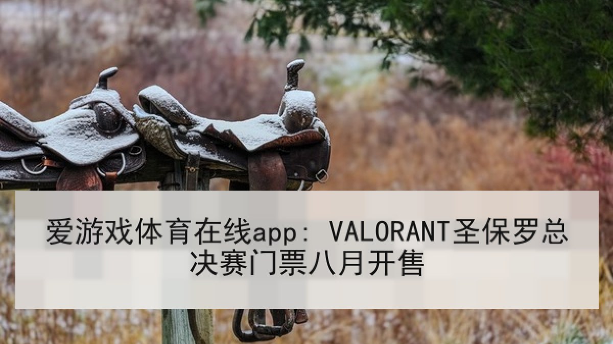 爱游戏体育在线app: VALORANT圣保罗总决赛门票八月开售